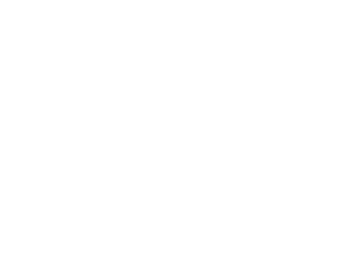 icon-access